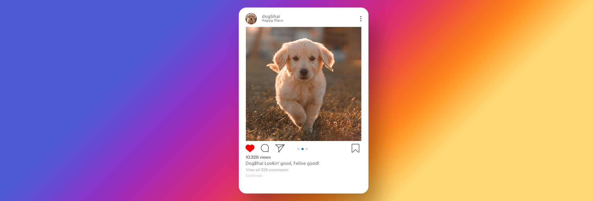 These Pet Instagram Captions Are Pawfect for the Photos of Your Furry Friend